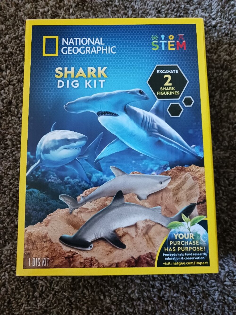 NWT National Geographic Shark Dig kit